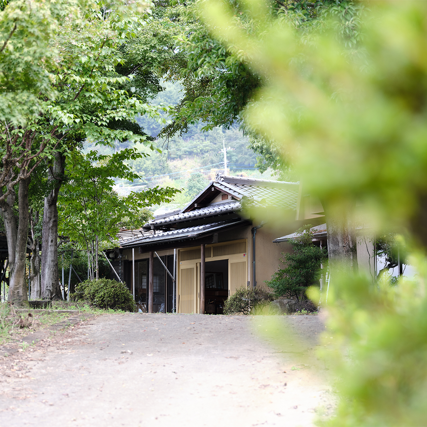 煙と花